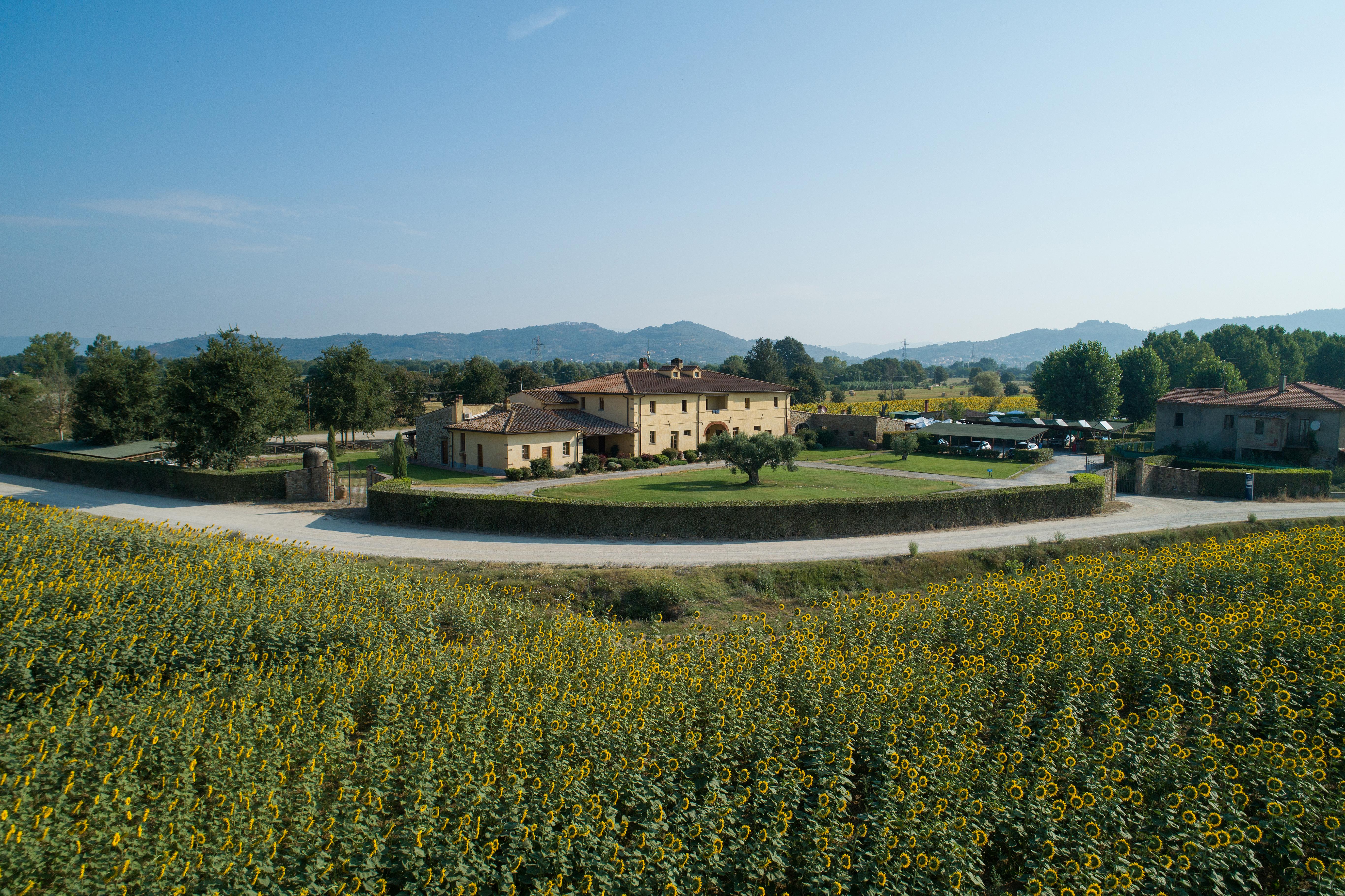 Hotel Le Capanne Arezzo Eksteriør billede